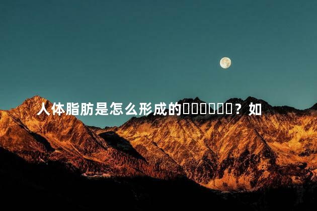 人体脂肪是怎么形成的？如何加快消耗它呢？